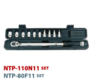 NTP-110N11